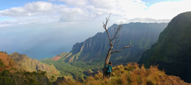 Kalalau Lookout Ridge Trail, Koke'e State Park, Kauai