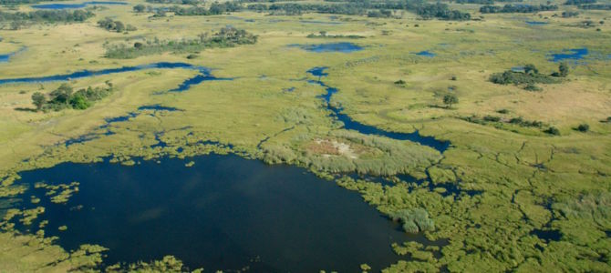 Okavango Delta and Moremi Game Reserve, Elephants, Makoro Experience, Zebra, Leopard, Buffalo, Flight, Botswana