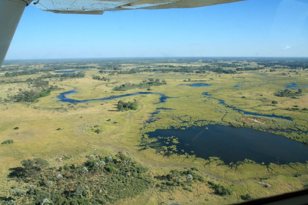 Botswana, Safari, Zebra, Elephant, Leopard, Moremi, Chobe, Okavango Delta, Moan, Kasane
