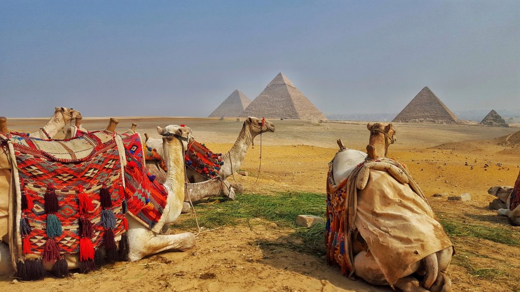Why Egypt Needs to be in Your 2017 Travel Plans, Pyramids, Aswan, Red Sea, Luxor, Alexandria, Scuba Diving, Mount Sinai, White Desert, National Museum, Mummy, Hot Air Balloon, Nile River, Sheesha, Shisha, Mohamed Ali Mosque, Citadel, Camels, Cairo, Dahab, Dhow