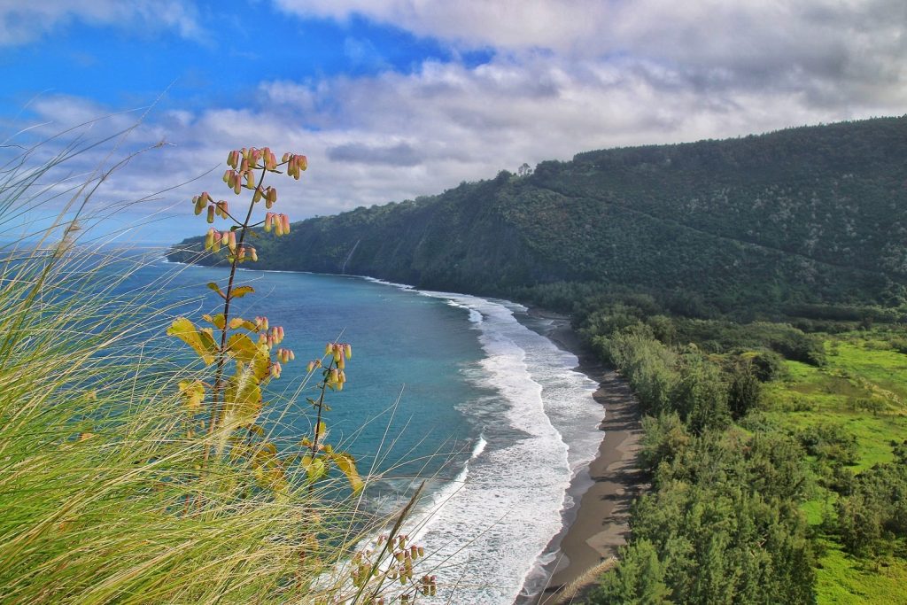 Hiking in Hawaii - Waimanu Valley Hike, Waipi'o Valley, Waimanu Valley, Overlook, Muliwai Trail