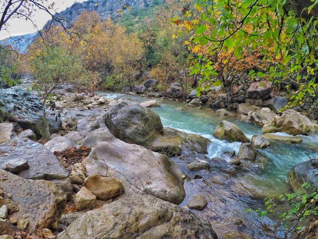 grean flowing Nahr Ibrahim River with foliage