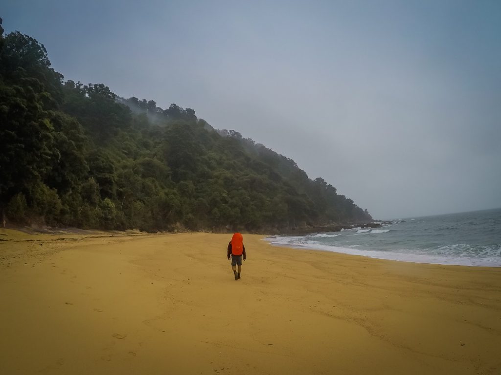 Abel Tasman Coastal Track, The Nine Great Walks of New Zealand, Check out more at www.beardandcurly.com