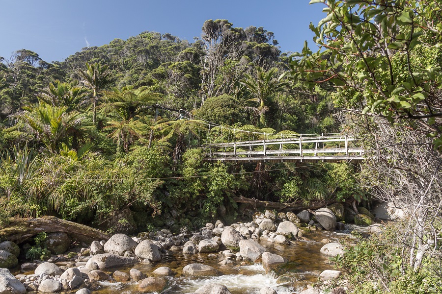 Heaphy Track: Trip Report, The Nine Great Walks of New Zealand. See more at www.beardandcurly.com
