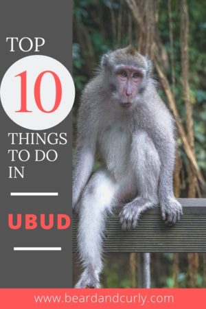 This covers the top 10 things to do in Ubud, Bali. It covers the best attractions, best waterfalls, and most scenic places near Ubud. Don't miss out on this awesome places! By: Beard and Curly (@beardandcurly)