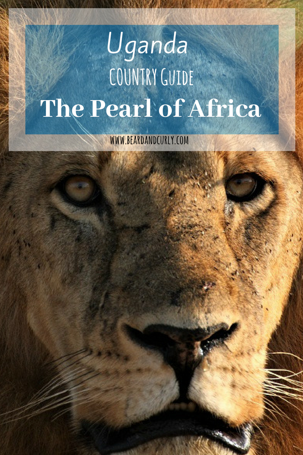 Uganda Country Guide: The Pearl of Africa, Safari, Murchison, Queen Elizabeth, Nile, Sipi Falls, Mount Elgon, Bunyoni #uganda #safari #africa www.beardandcurly.com